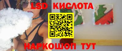 шишки Будённовск