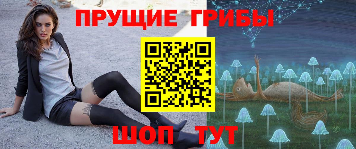 Биробиджан  Галлюциногенные грибы Cubensis  Вход с VPN 