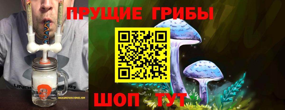 Псилоцибиновые грибы Cubensis Биробиджан